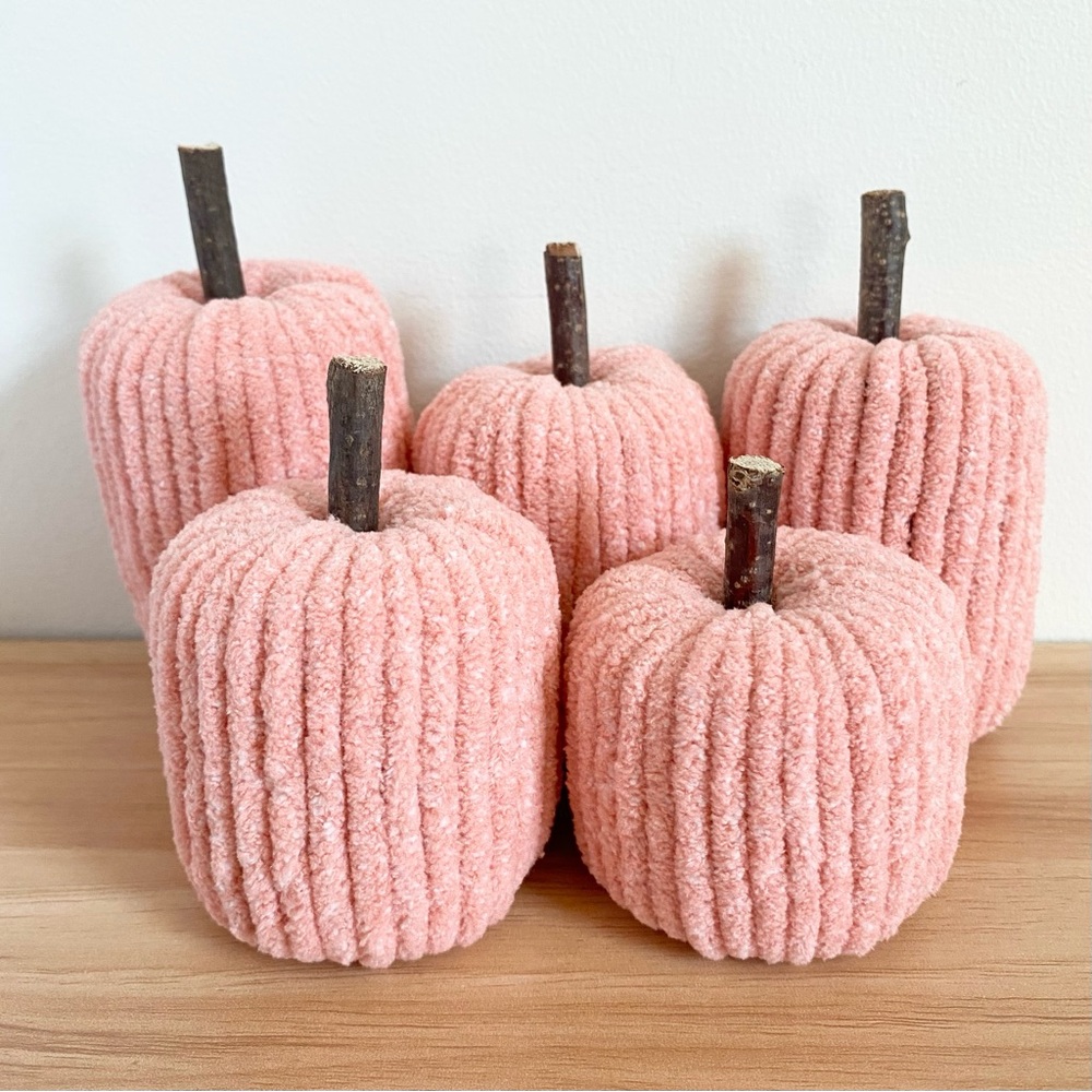 Light Pink Pumpkin Handmade Fall Decor Set of 5